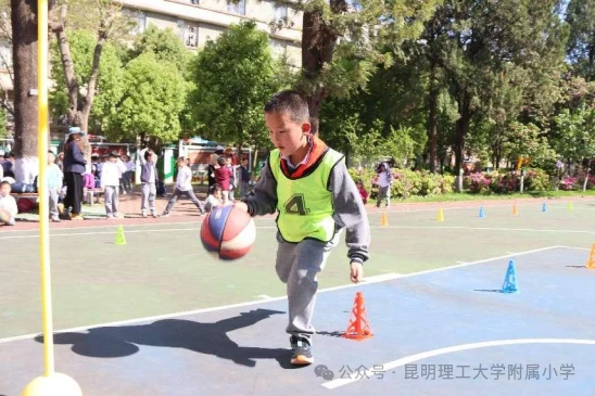 篮球小学生基本功训练教学反思怎么写_2